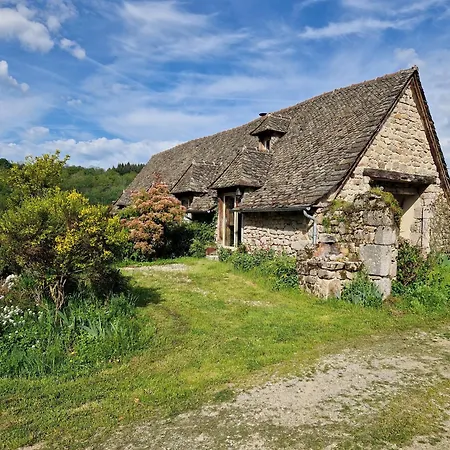 Le Puy D'aubrac * Campouriez