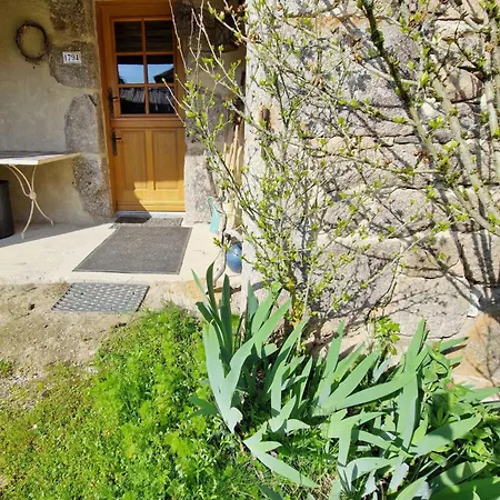 Le Puy D'aubrac * Campouriez